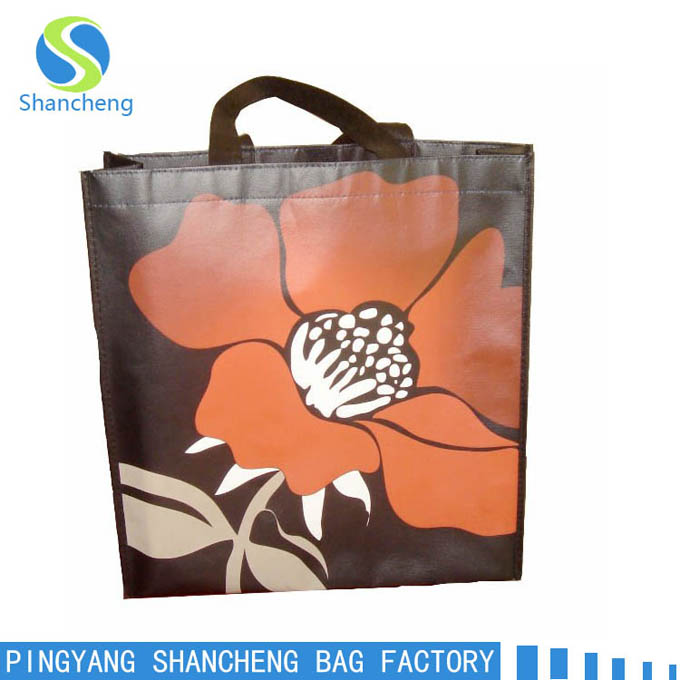 non woven bag