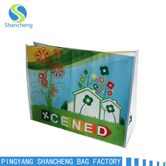 non woven bag